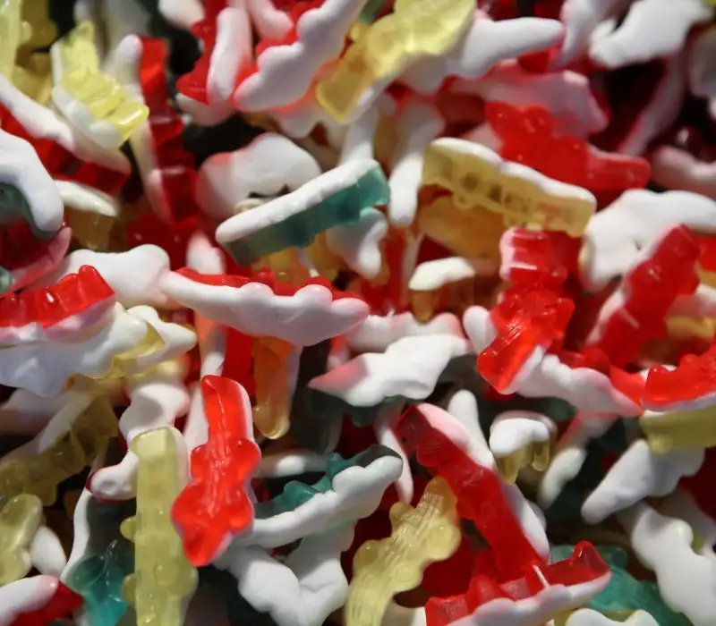 Crocodile lisse 100g