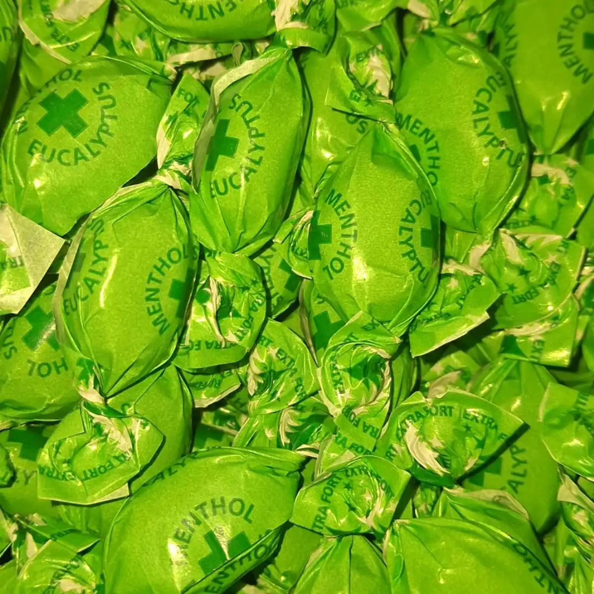 eucalyptus menthe 100g