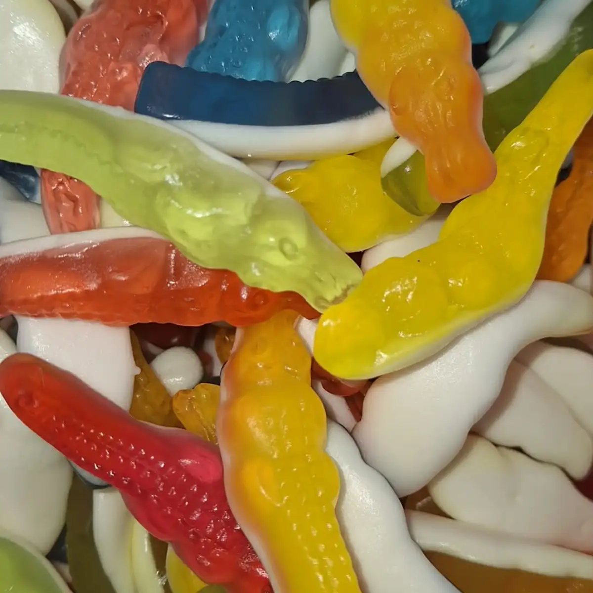 Crocodile 100g